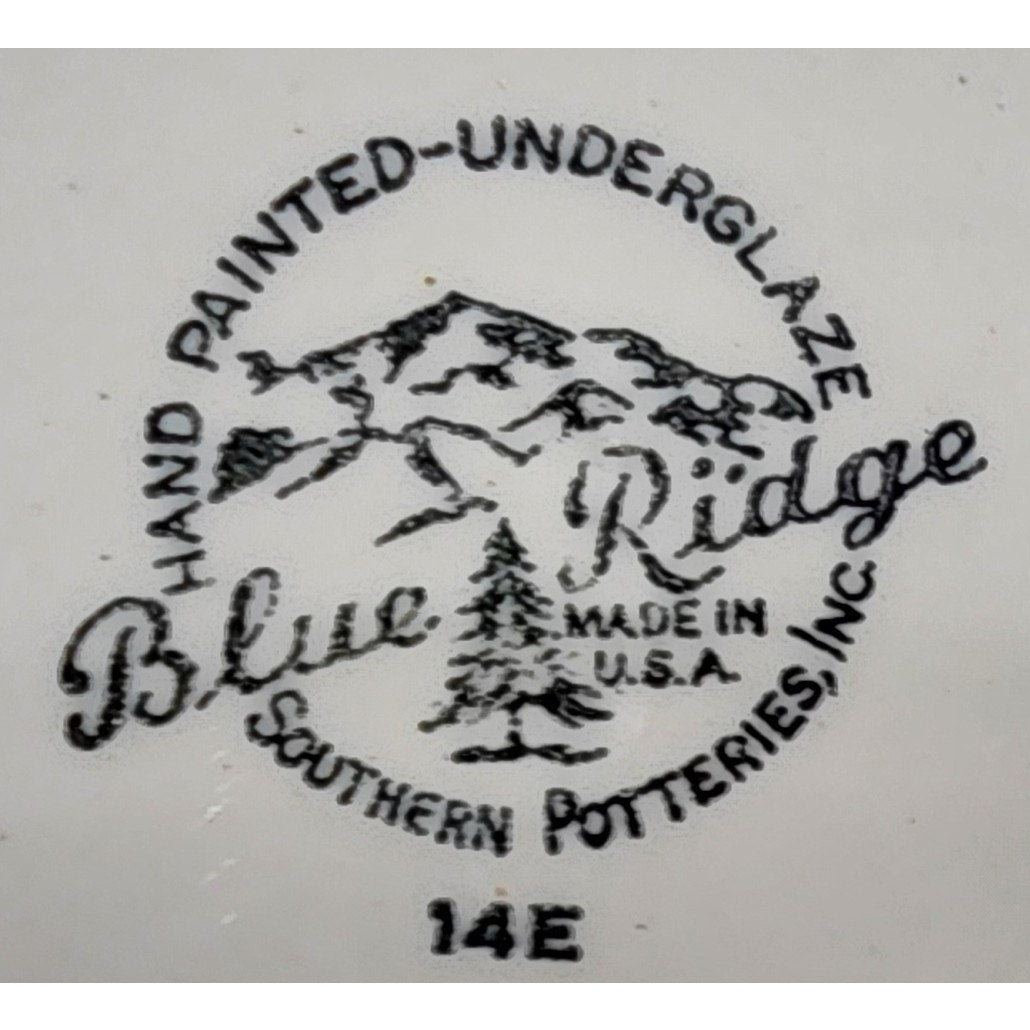 Blue Ridge Southern Potteries Hand Painted Floral Plates Set of 8 Vintage