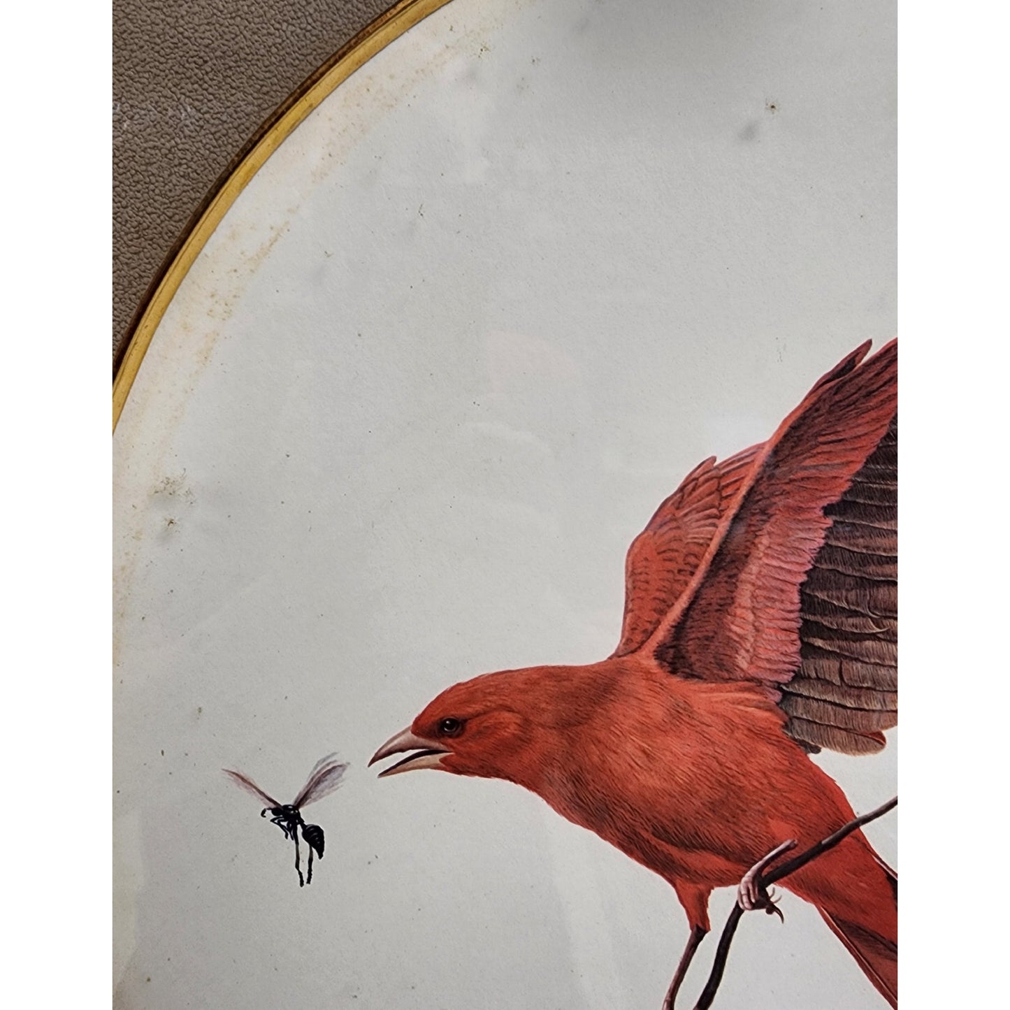 Signed Ray Harm “Summer Tanager” Lithograph – Vintage Framed Wildlife Art - 1963