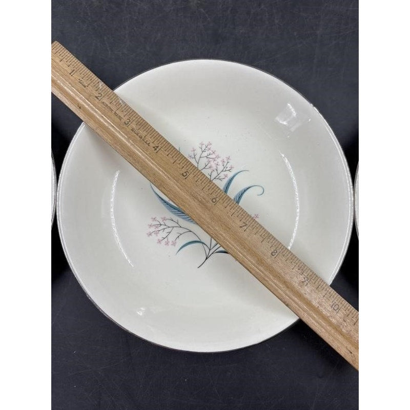 Alliance China Co. Regal Hand Decorated China Set – 14pc - Platinum Rim (Chip on Saucer)