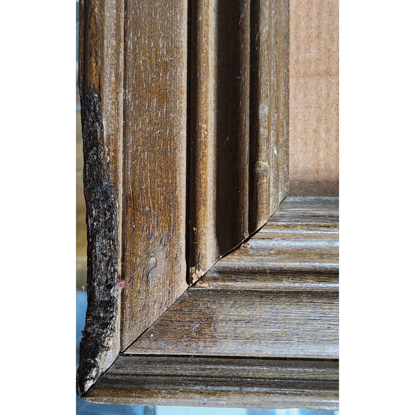 Jim Oliver Signed Print Eastern Chipmunks Framed Wildlife Art