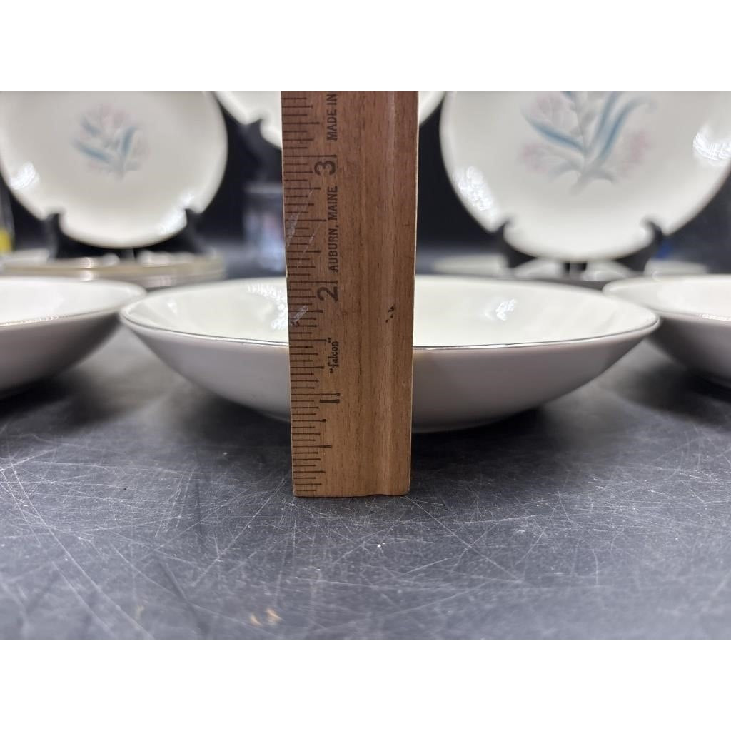 Alliance China Co. Regal Hand Decorated China Set – 14pc - Platinum Rim (Chip on Saucer)