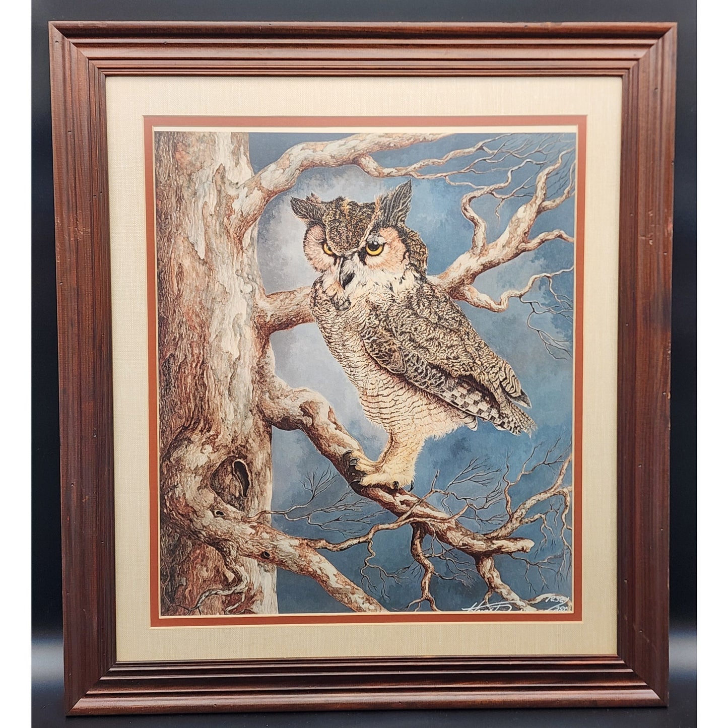 The Nightwatch Harry Duncan Signed #1232/2500 Framed Owl Lithograph