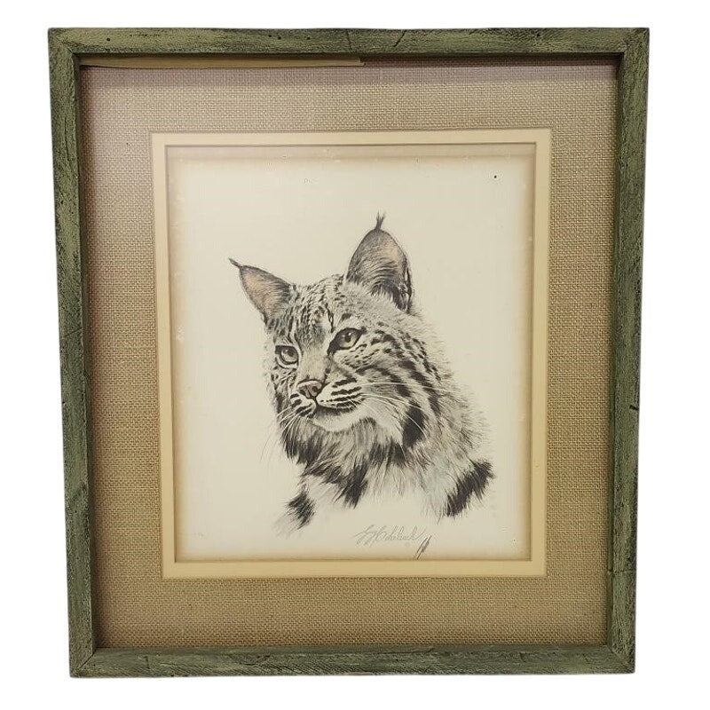 Frame Art