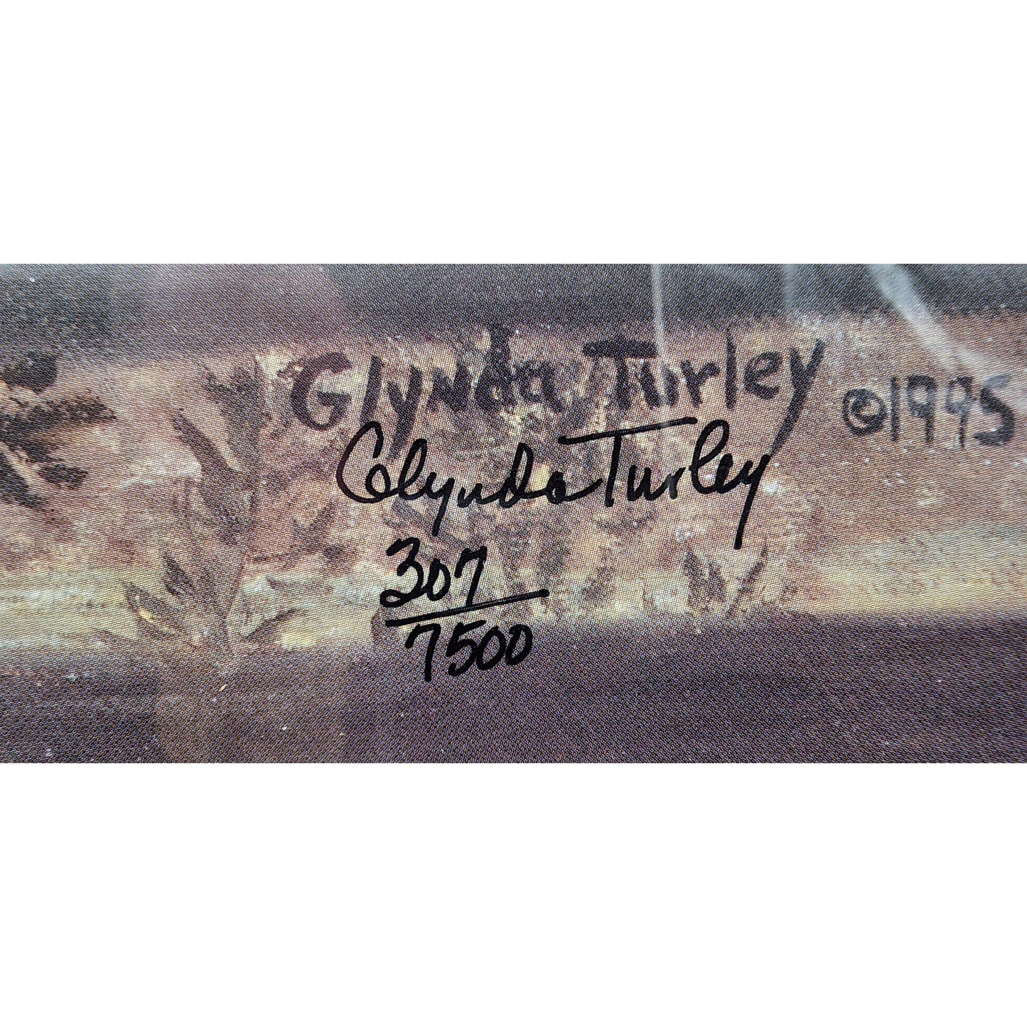 Mabry in Spring Lithograph by Glynda Turley Signed/Numbered Ornate Frame 29.5x26