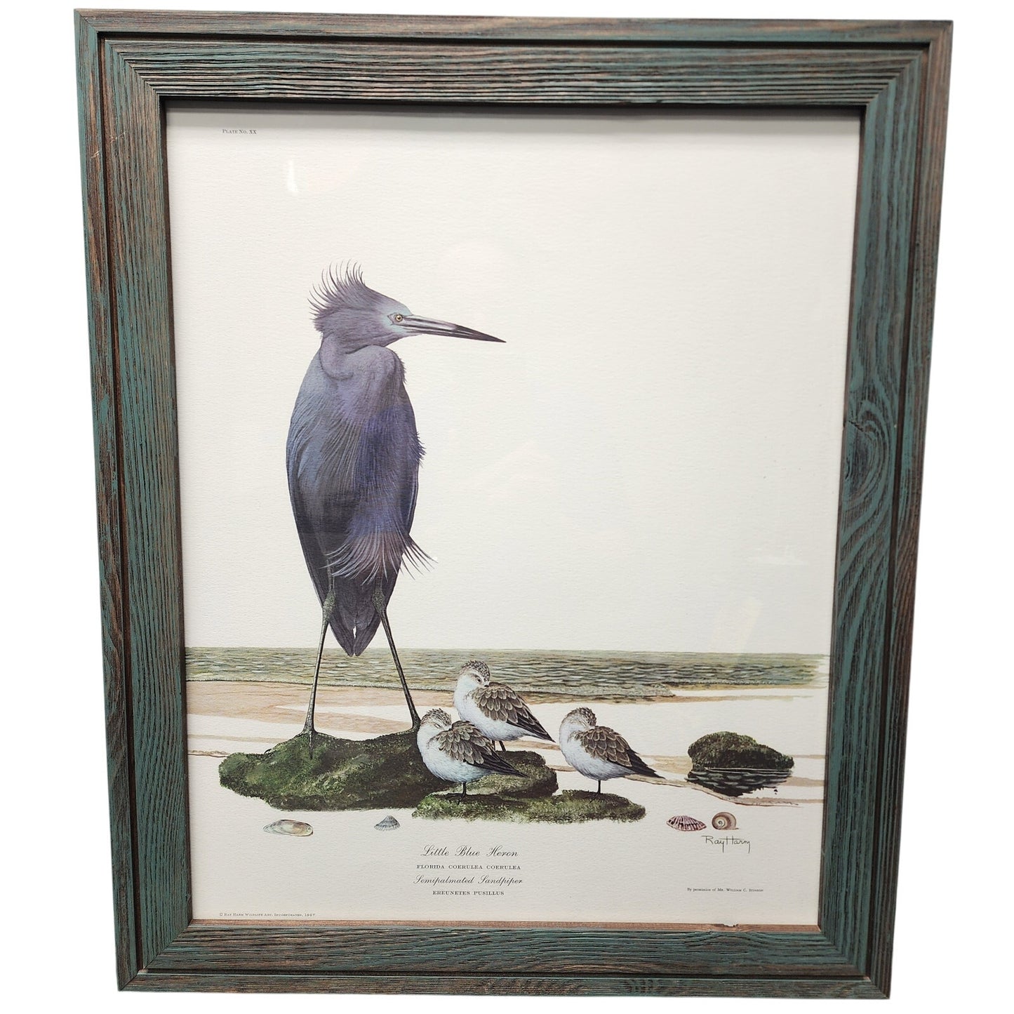 Ray Harm Little Blue Heron Lithograph 1967 Signed In Print Framed VTG Art