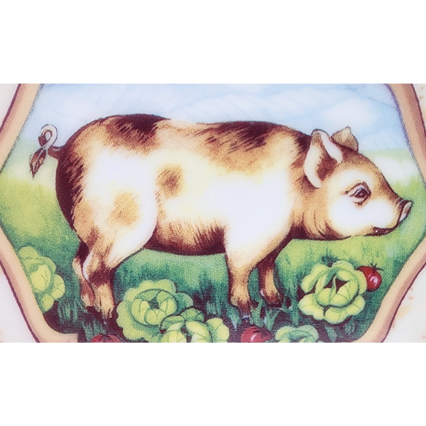 Le Jardin Farm Animal Plate & Mug Set Suzanne Nicoll Andrea by Sadek Japan