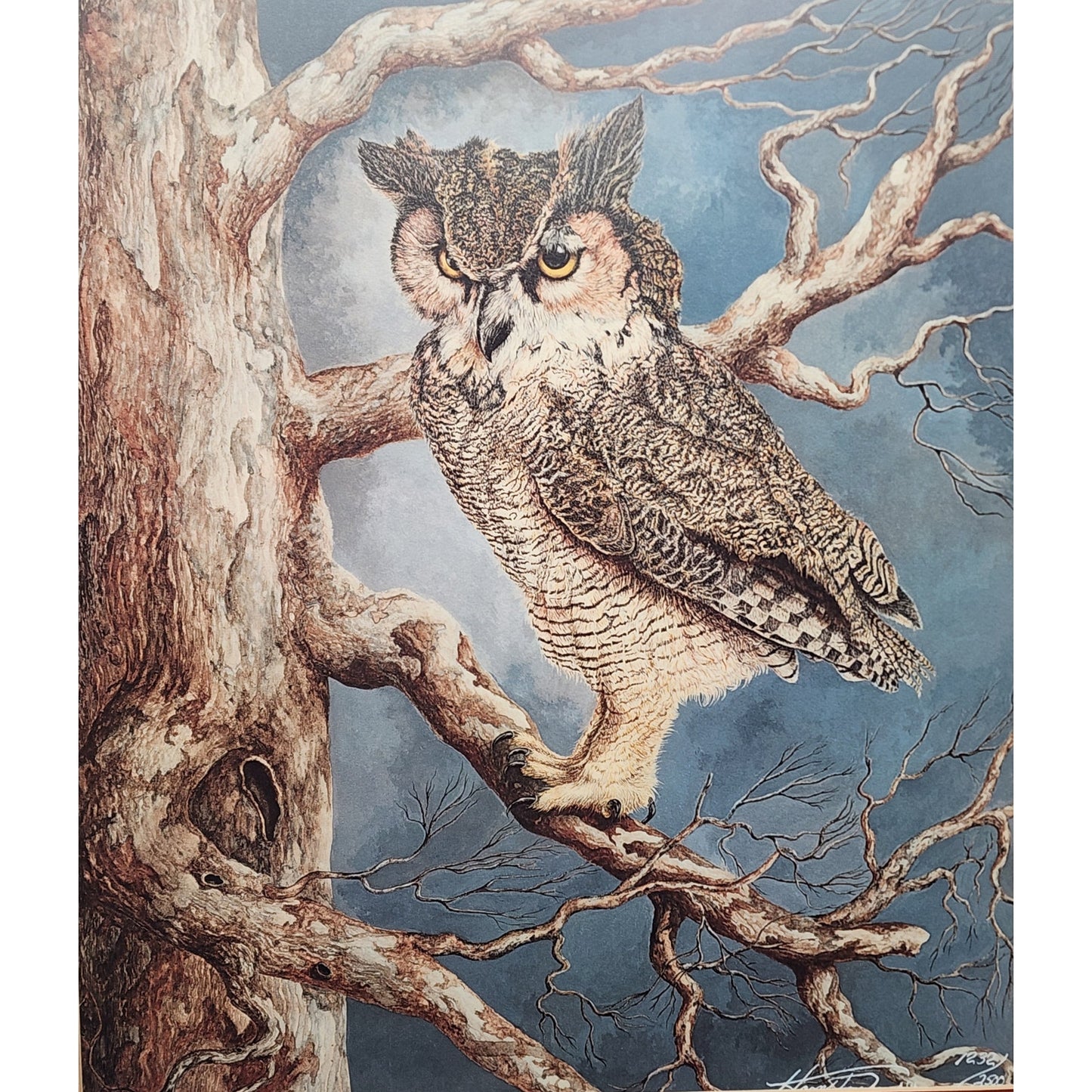 The Nightwatch Harry Duncan Signed #1232/2500 Framed Owl Lithograph