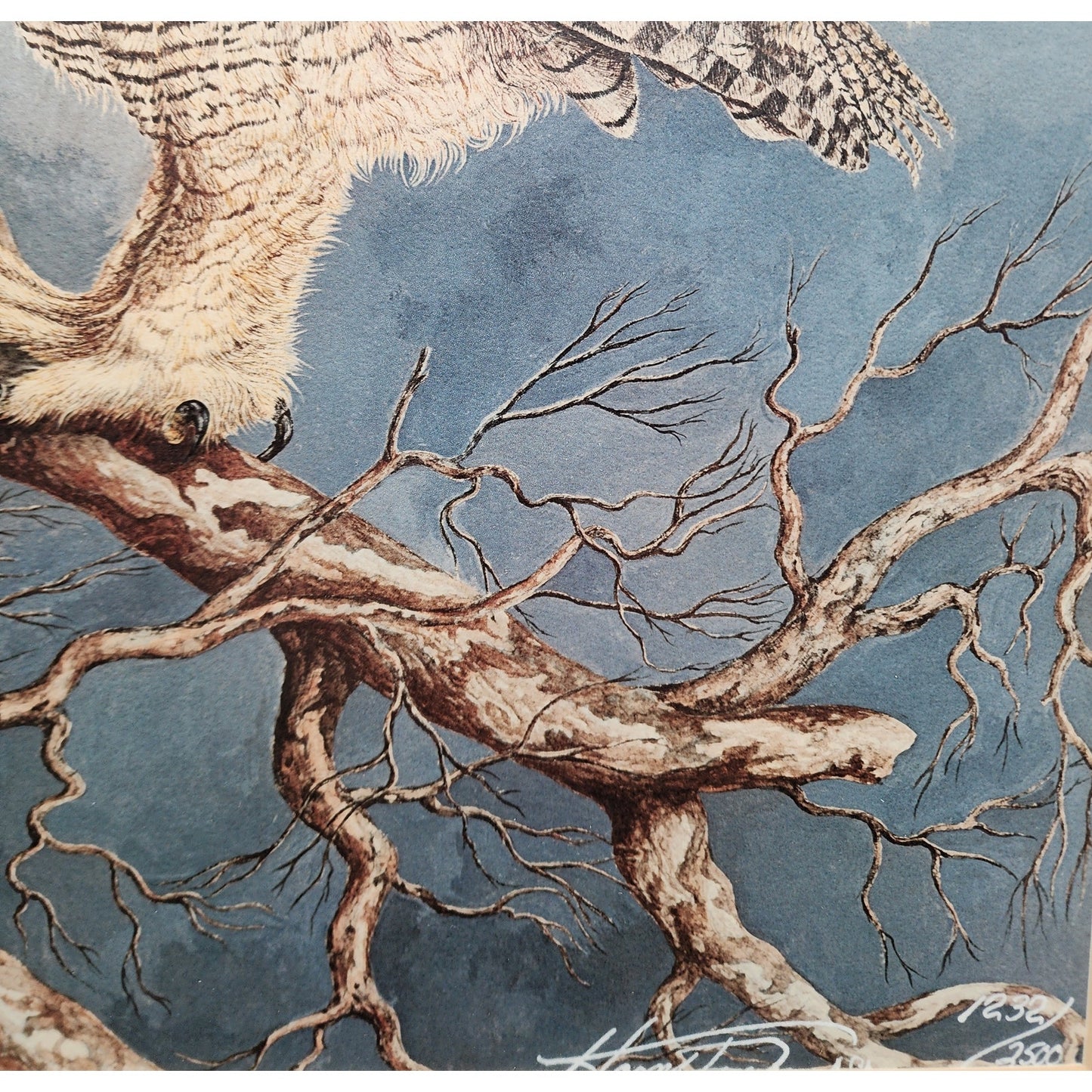The Nightwatch Harry Duncan Signed #1232/2500 Framed Owl Lithograph