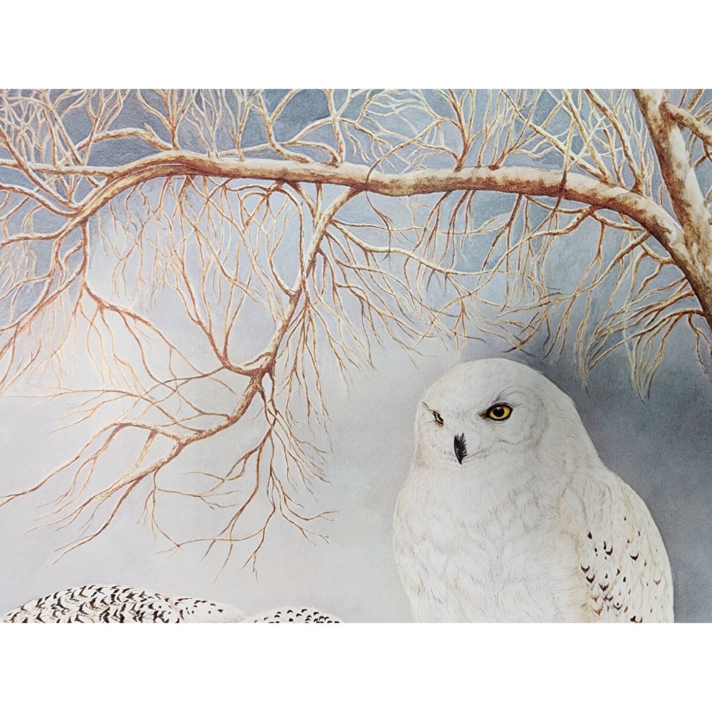 Harry Duncan ASA “The Lonely Virgil” Lithograph – Signed & Numbered (1982)
