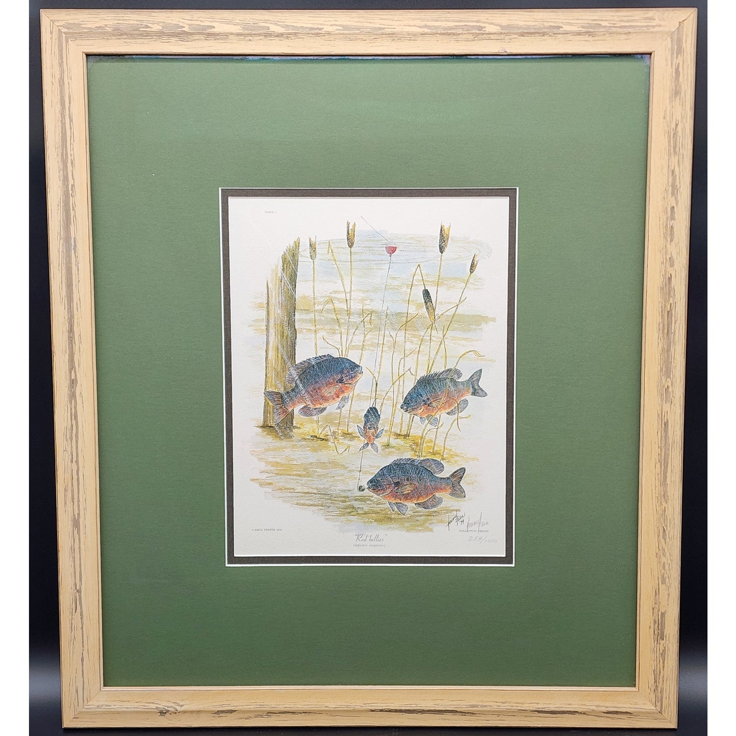 Red Bellies 1974 Howard Fain Signed LE 258/1000 Framed 25x29 Vintage Art