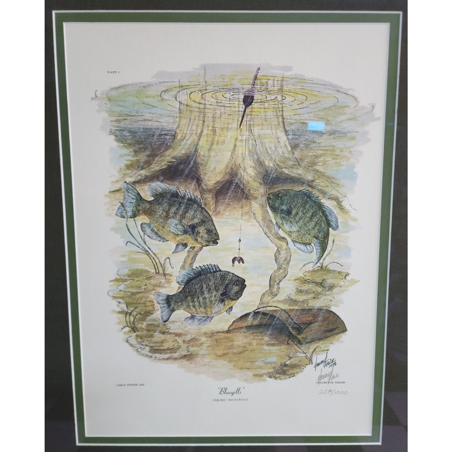 1972 Howard Fain “Bluegills” Signed 258/1000 Framed Lithograph w/ Double Mat