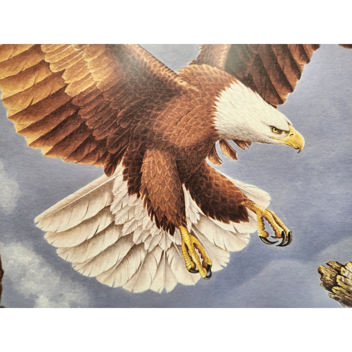 Jim Oliver Signed Lithograph “Bald Eagle”, Large Framed Wildlife Art 36.75x32.75