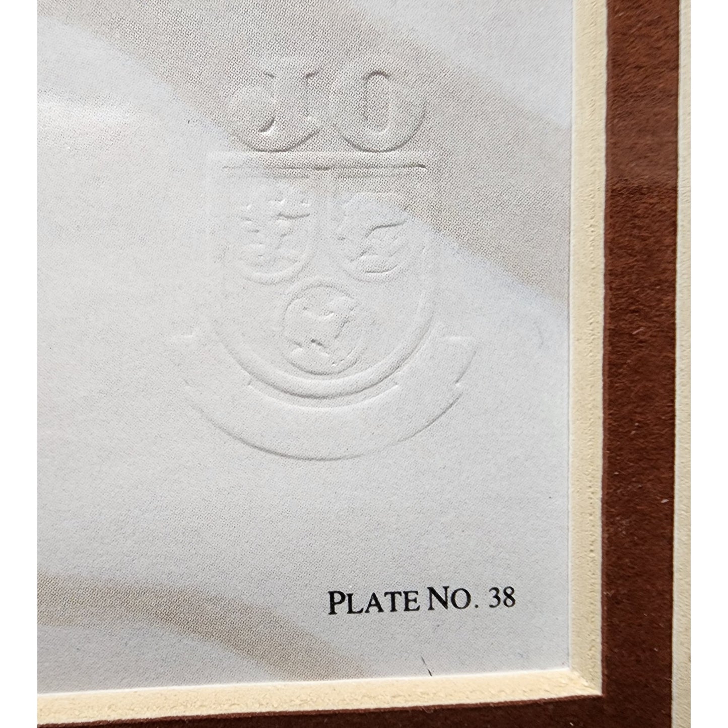 Jim Oliver Raccoon 1984 Signed Embossed Lithograph Framed Wildlife Art Print