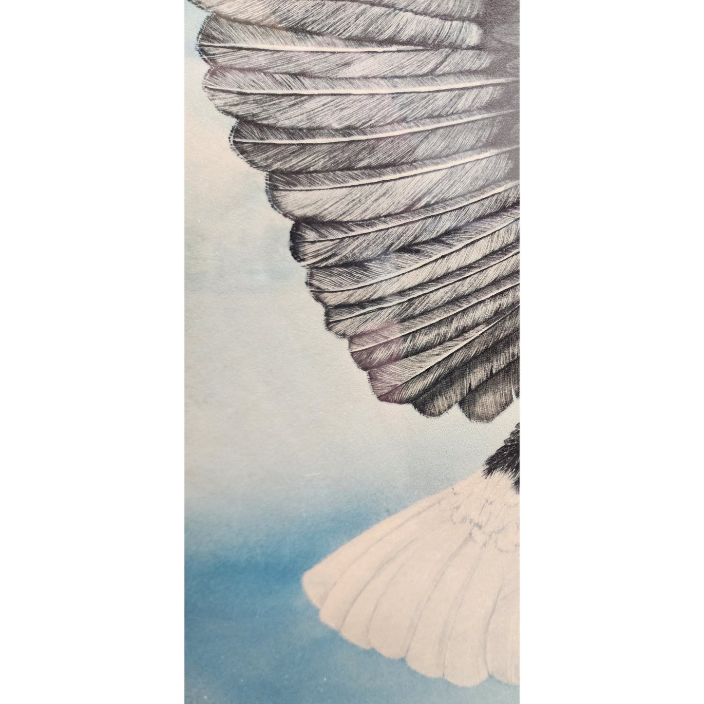 Gene Gray 1970 Bald Eagle Lithograph Framed Collectors Series VIII Morehead Univ