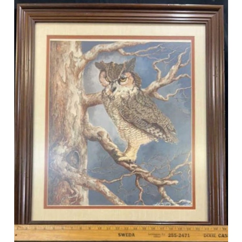 The Nightwatch Harry Duncan Signed #1232/2500 Framed Owl Lithograph