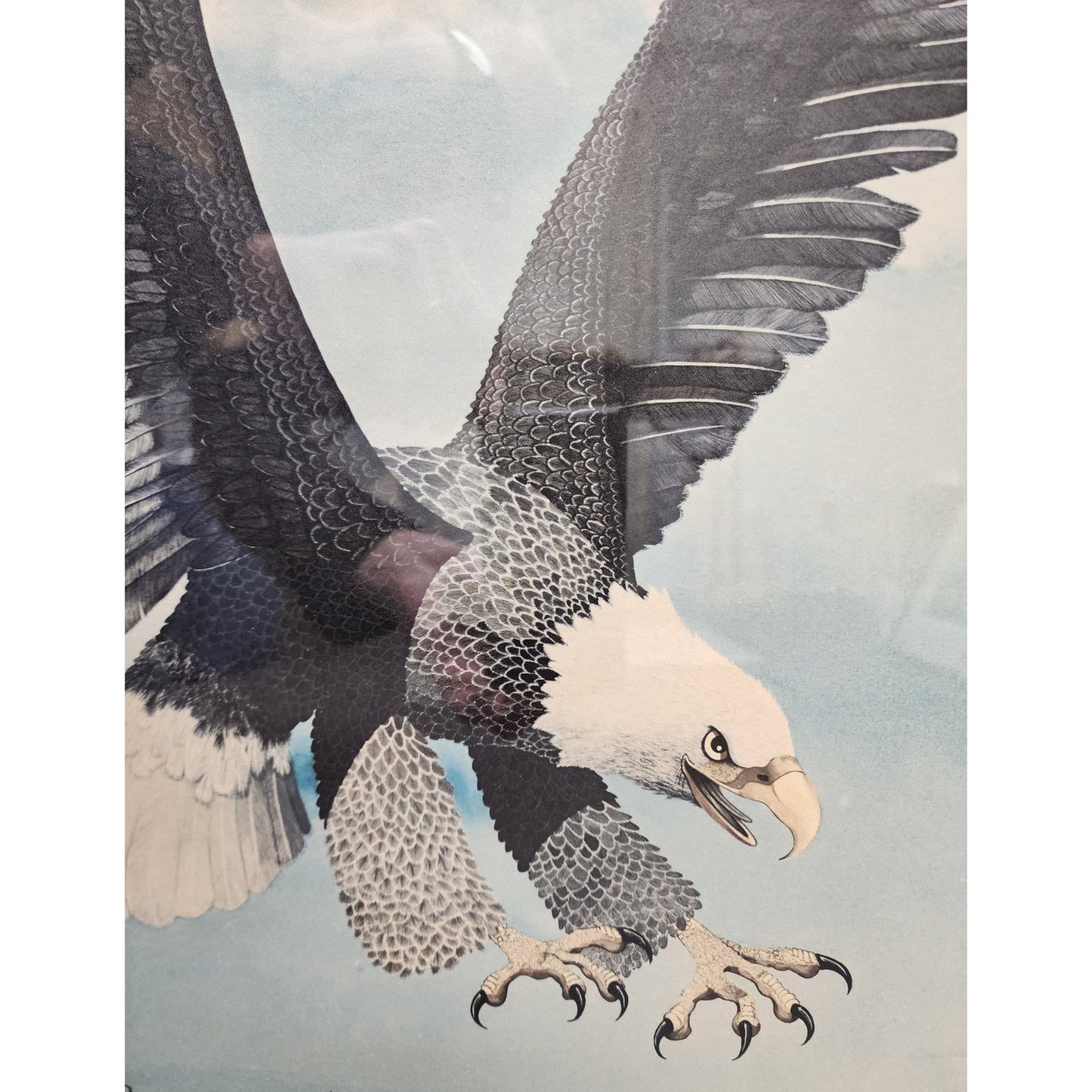 Gene Gray 1970 Bald Eagle Lithograph Framed Collectors Series VIII Morehead Univ