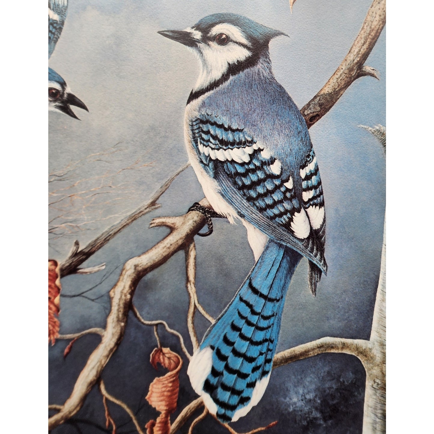 Vintage Winter Jays Harry Duncan Signed #1232/1500 Framed Triple Mat Lithograph