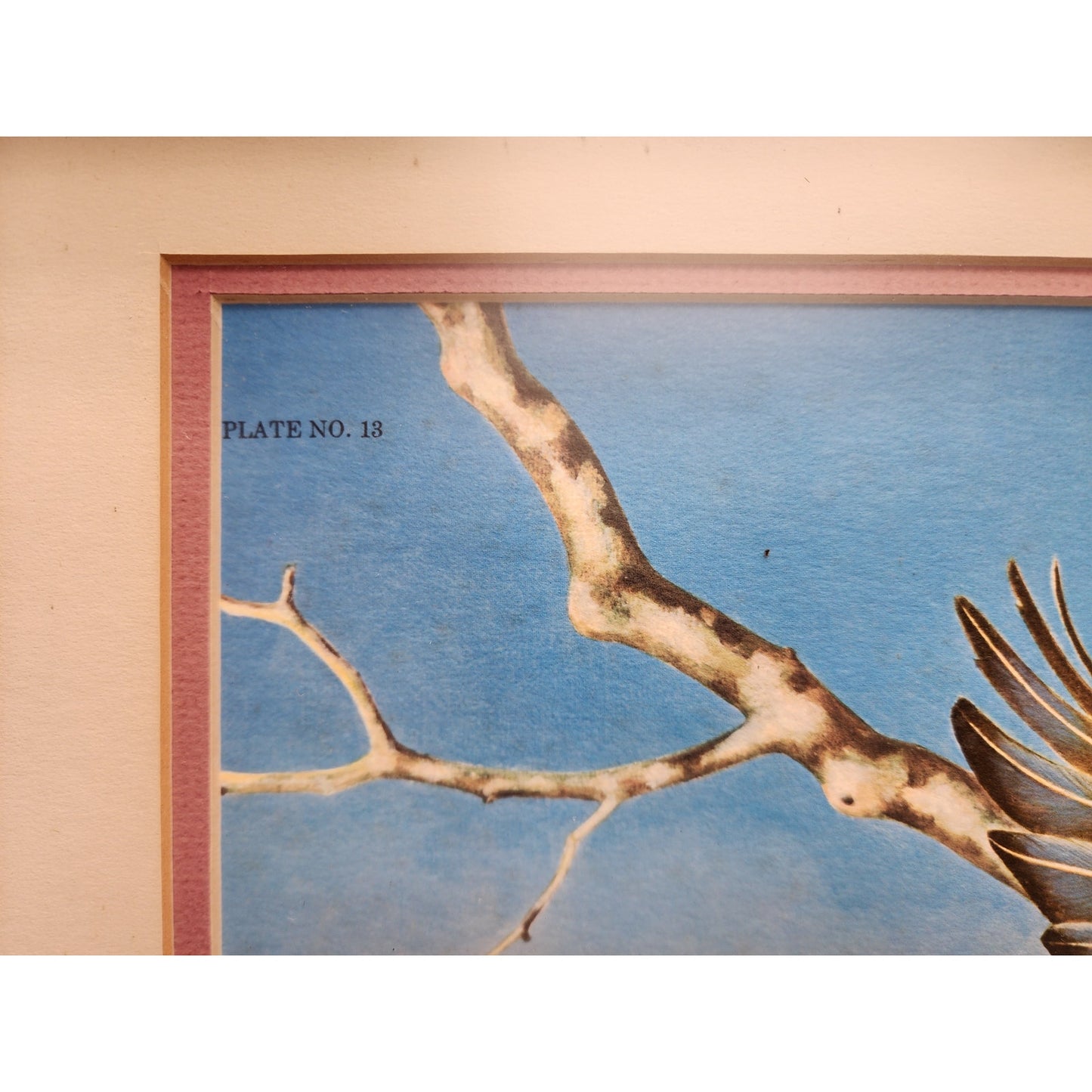 Jim Oliver Signed Lithograph “Wood Ducks” Plate 13  Rustic Framed Wildlife 27x23