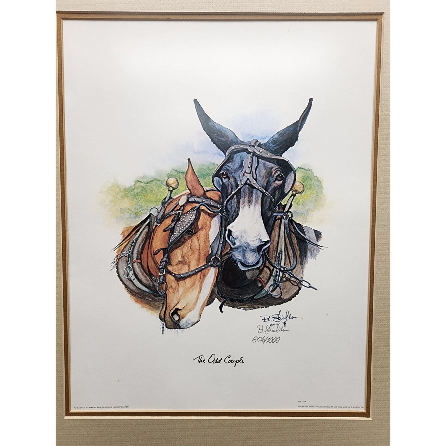 Bonnie Shields “The Odd Couple” Signed & Numbered Framed Print Western Horse Art