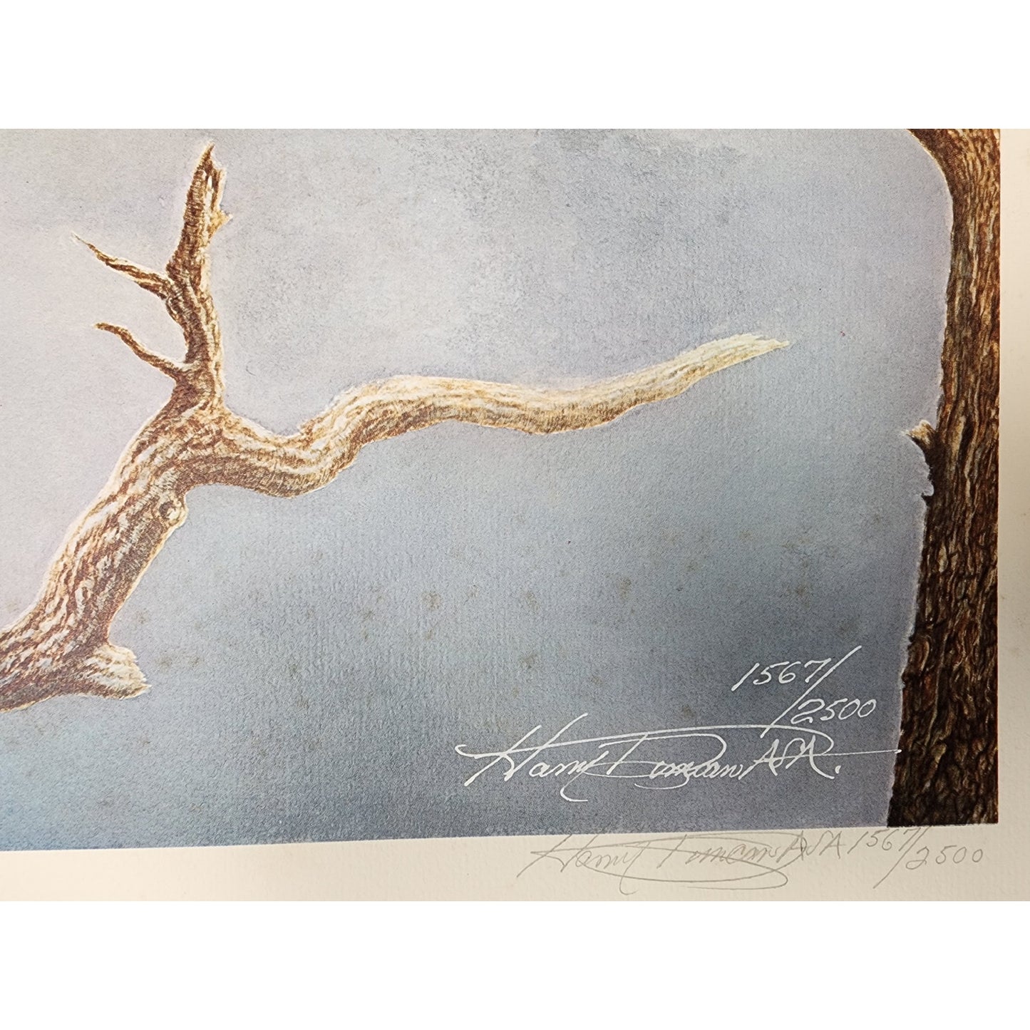 Harry Duncan ASA “The Lonely Virgil” Lithograph – Signed & Numbered (1982)
