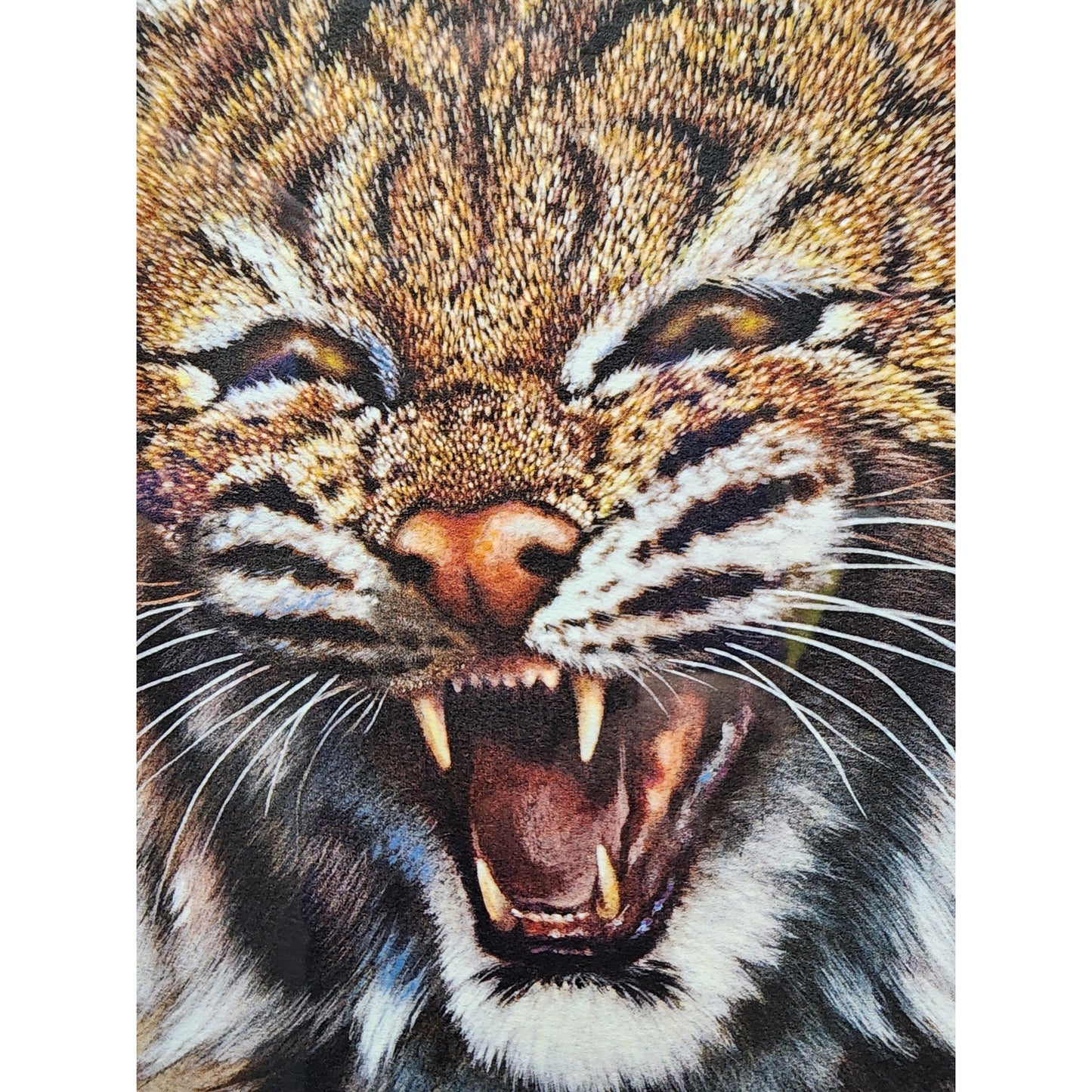 Jim Oliver Kentucky Wildcat Lithograph Signed, Embossed Framed Art