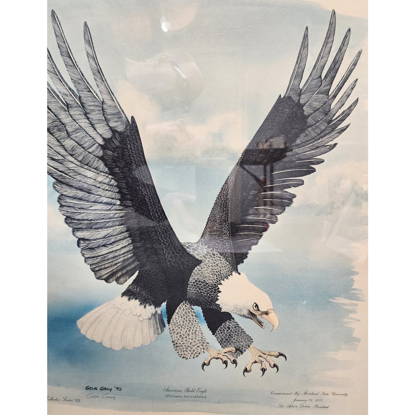 Gene Gray 1970 Bald Eagle Lithograph Framed Collectors Series VIII Morehead Univ