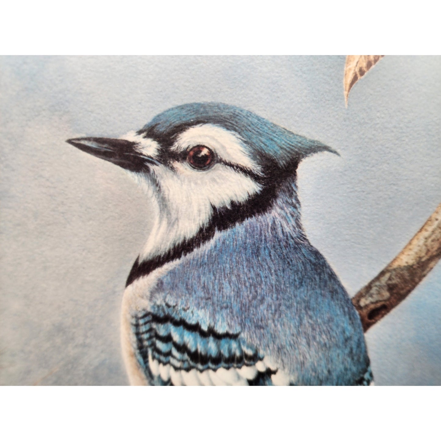 Vintage Winter Jays Harry Duncan Signed #1232/1500 Framed Triple Mat Lithograph