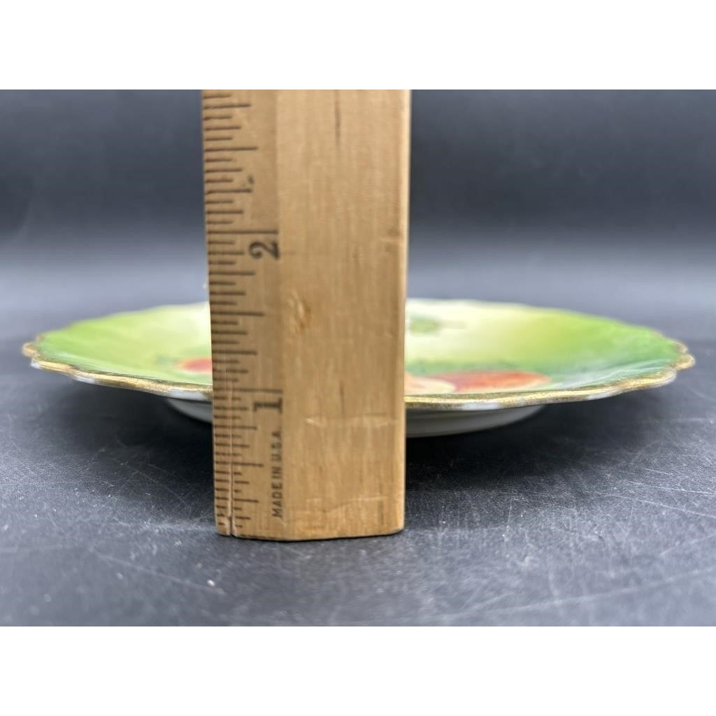 VTG Tirschenreuth Bavaria Hand Painted Porcelain Plate Apples & Blossoms, Scalloped Edge