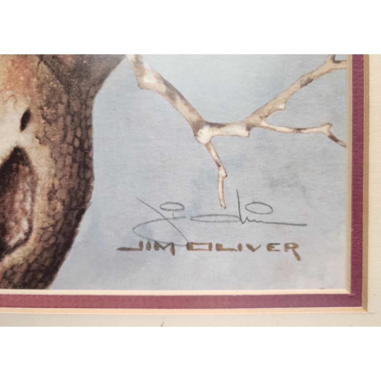 Jim Oliver Signed Lithograph “Wood Ducks” Plate 13  Rustic Framed Wildlife 27x23