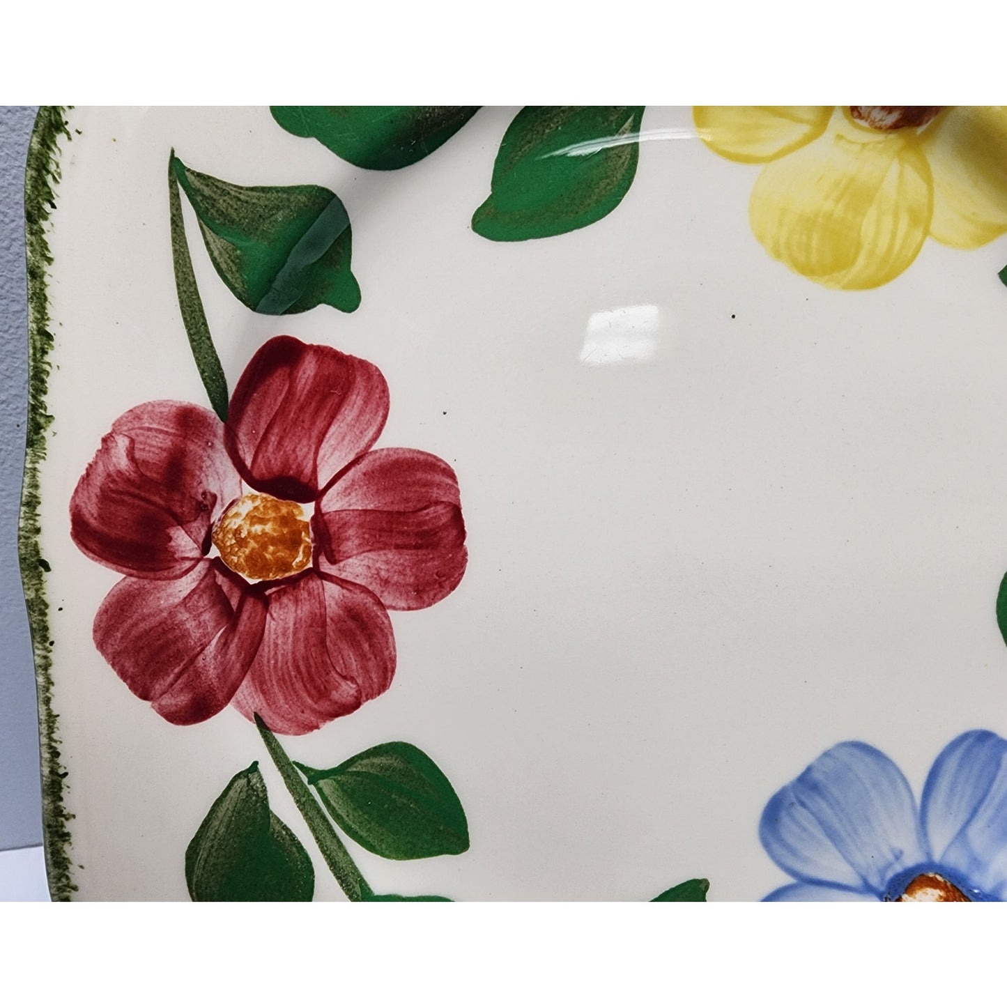 Blue Ridge Southern Potteries Hand Painted Floral Plates Set of 8 Vintage