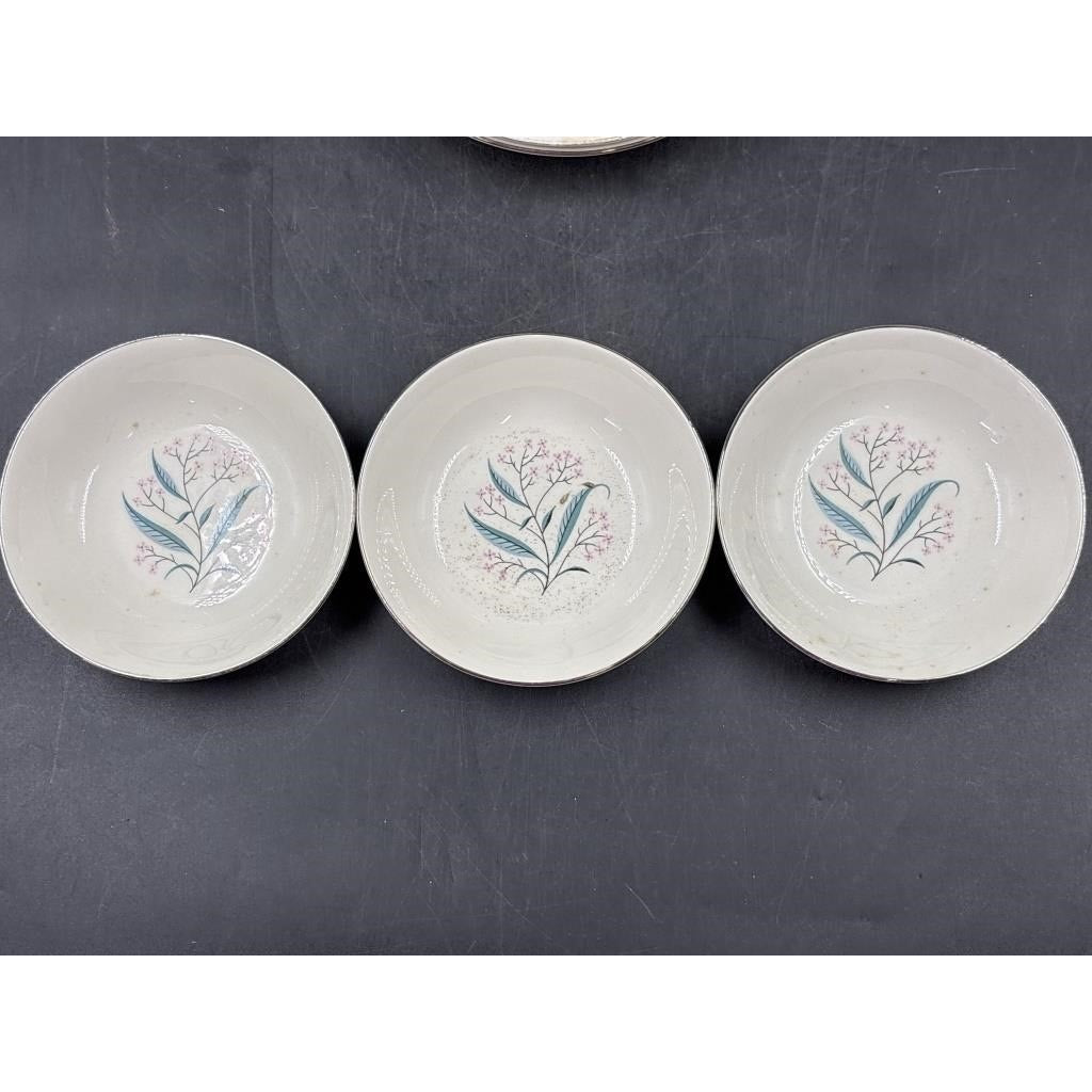 Alliance China Co. Regal Hand Decorated China Set – 14pc - Platinum Rim  (Chip on Saucer)
