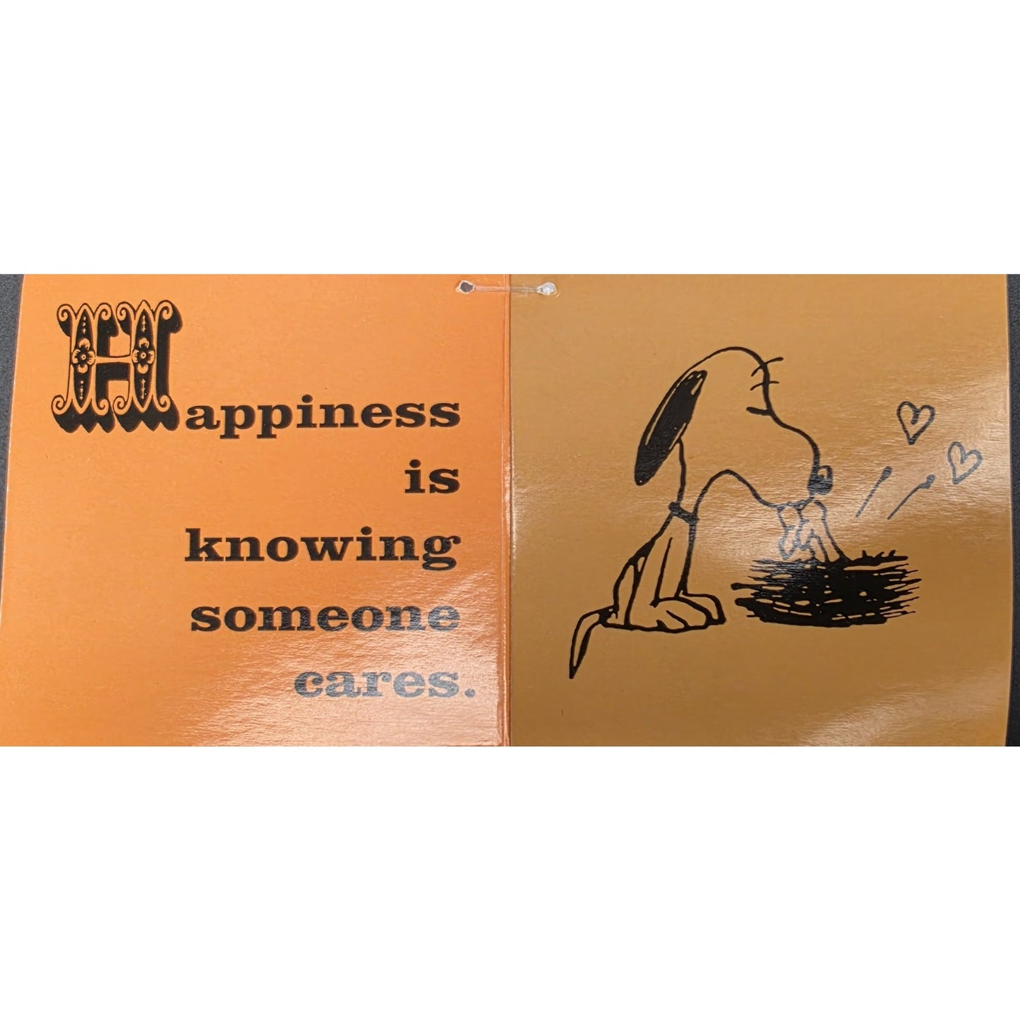 Hallmark Peanuts Snoopy & Woodstock “Happiness Is a Hug” Plush 2010 – 8” Soft