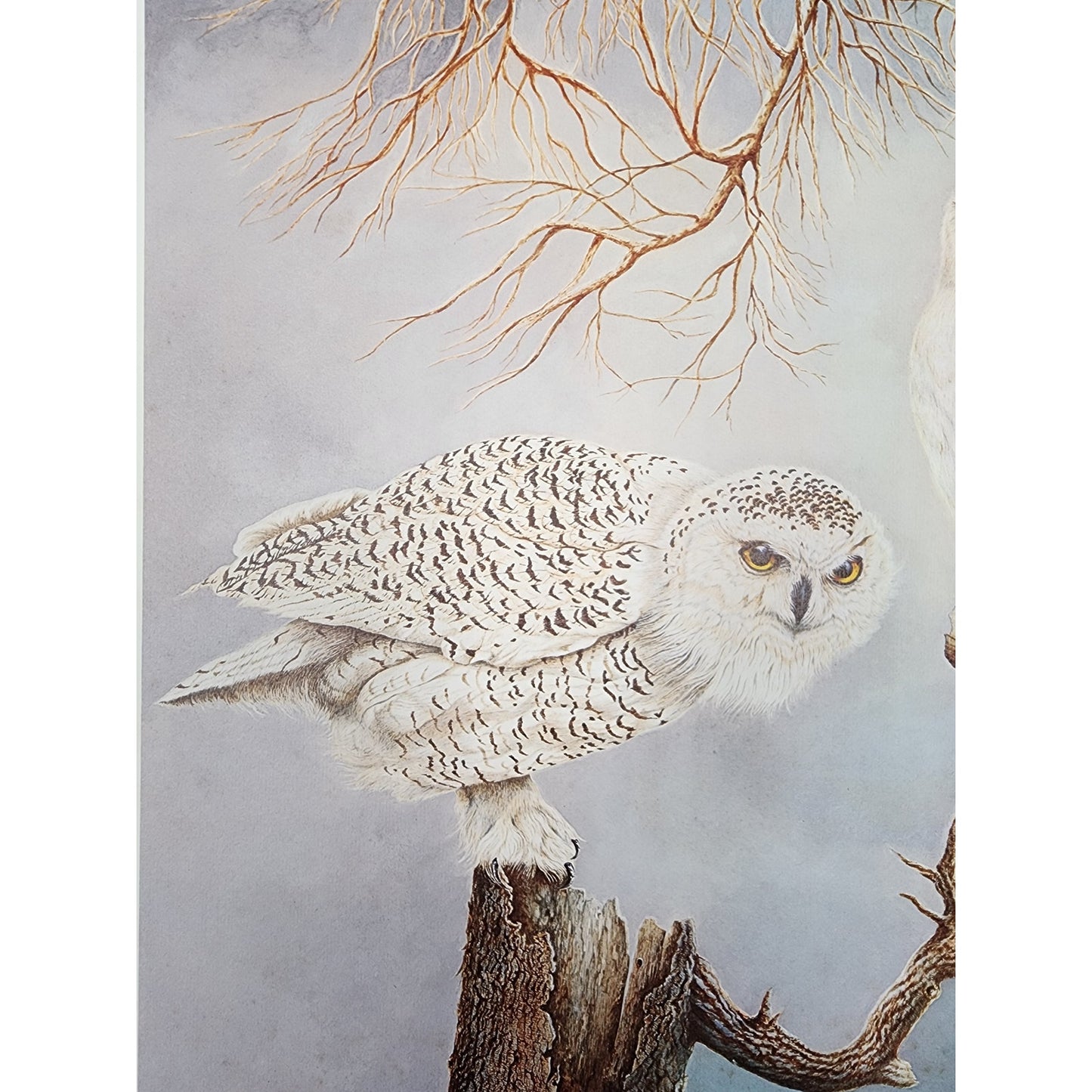 Harry Duncan ASA “The Lonely Virgil” Lithograph – Signed & Numbered (1982)