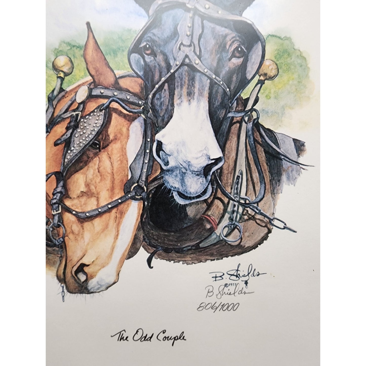 Bonnie Shields “The Odd Couple” Signed & Numbered Framed Print Western Horse Art