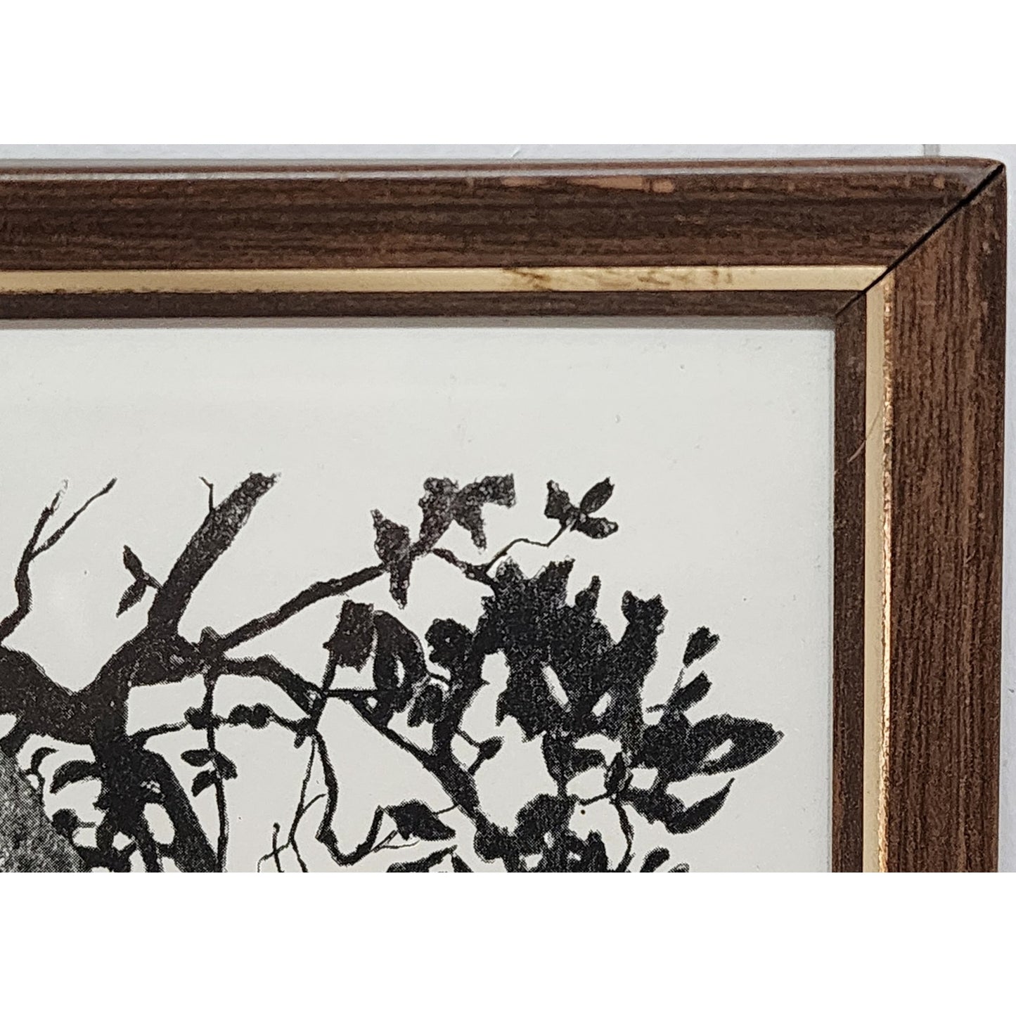 1987 Ralph Shyrock Wildlife Print 28/500 Signed Framed Bobcat Drawing 8x10