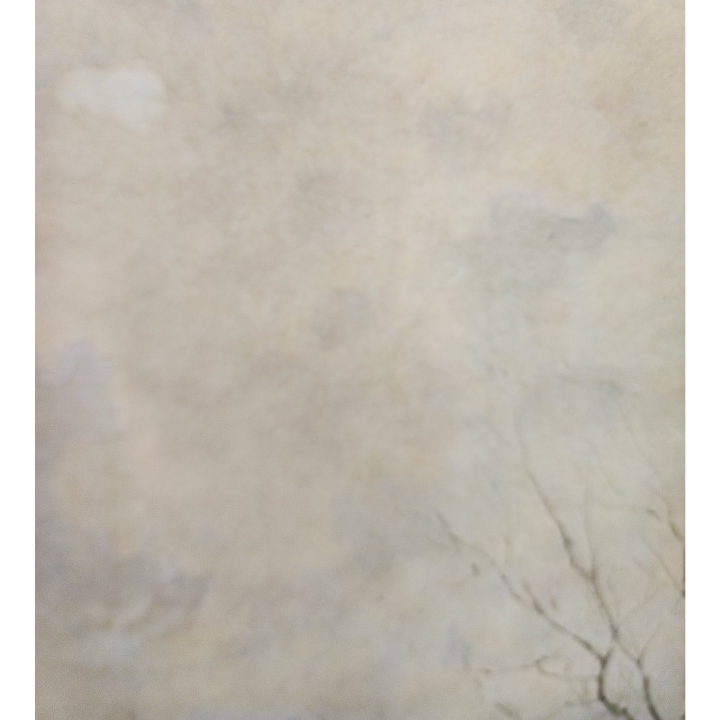 Paul Sawyier “Misty Evening” Lithograph Framed Gold Beveled Wood KY Art 1973 VTG