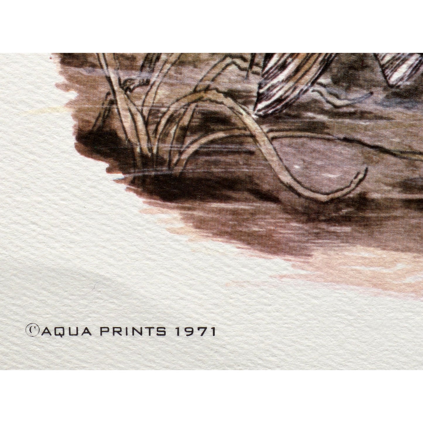 1991 Largemouth Bass Lithograph by Howard Fain Framed w/ COA 25x29 Vintage - Rare
