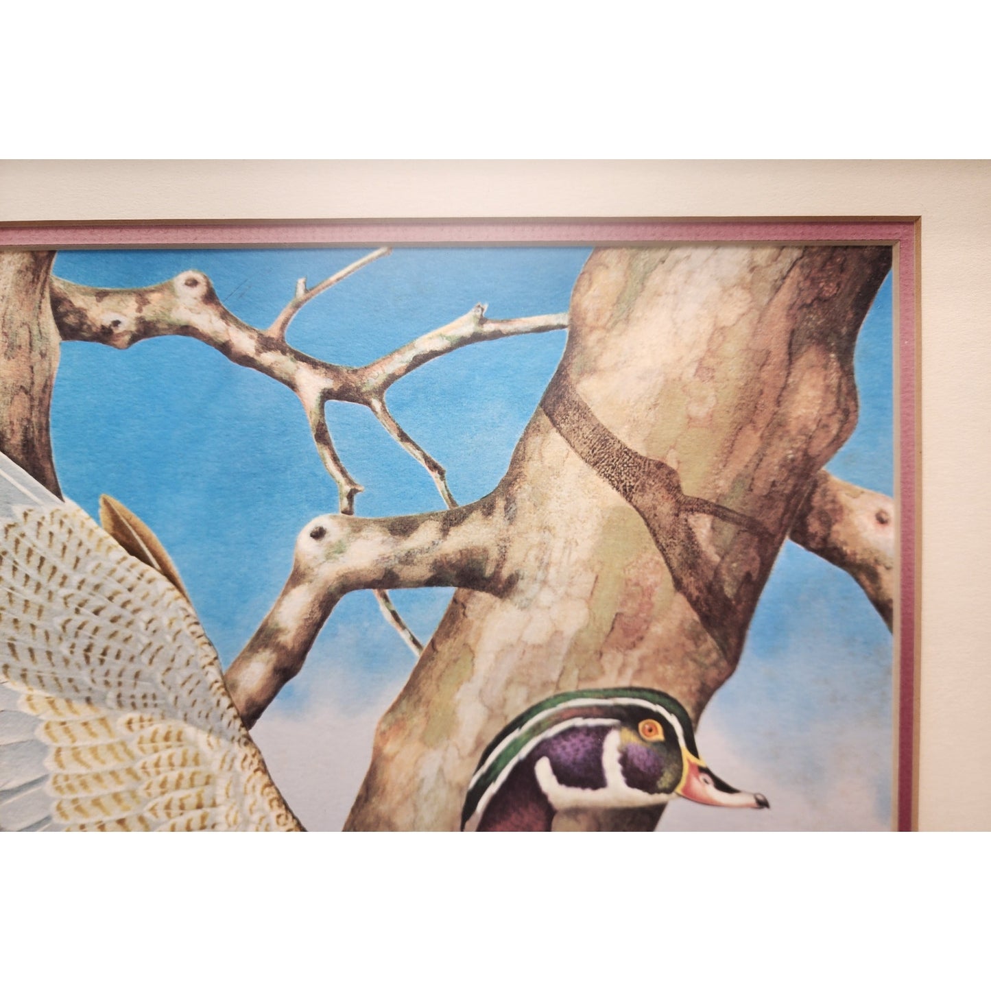 Jim Oliver Signed Lithograph “Wood Ducks” Plate 13  Rustic Framed Wildlife 27x23