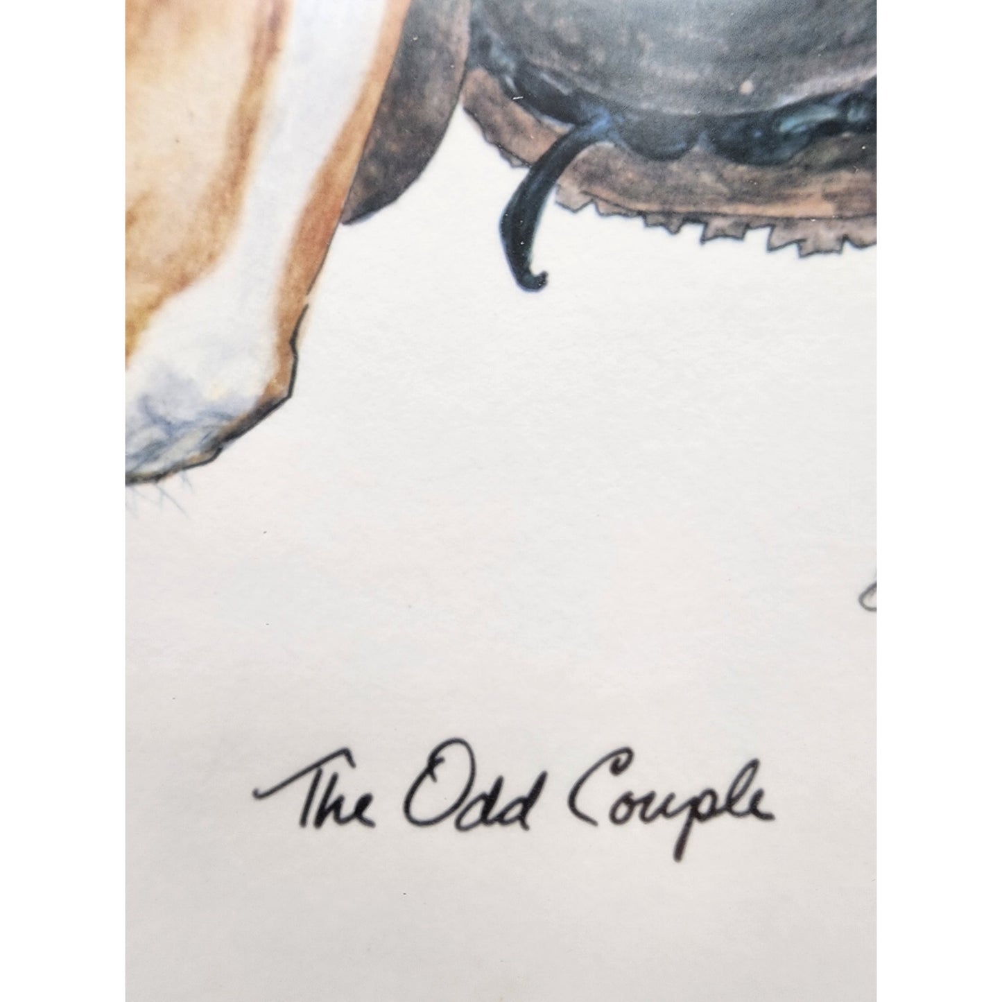 Bonnie Shields “The Odd Couple” Signed & Numbered Framed Print Western Horse Art