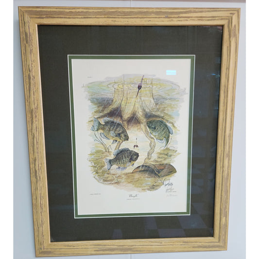 1972 Howard Fain “Bluegills” Signed 258/1000 Framed Lithograph w/ Double Mat