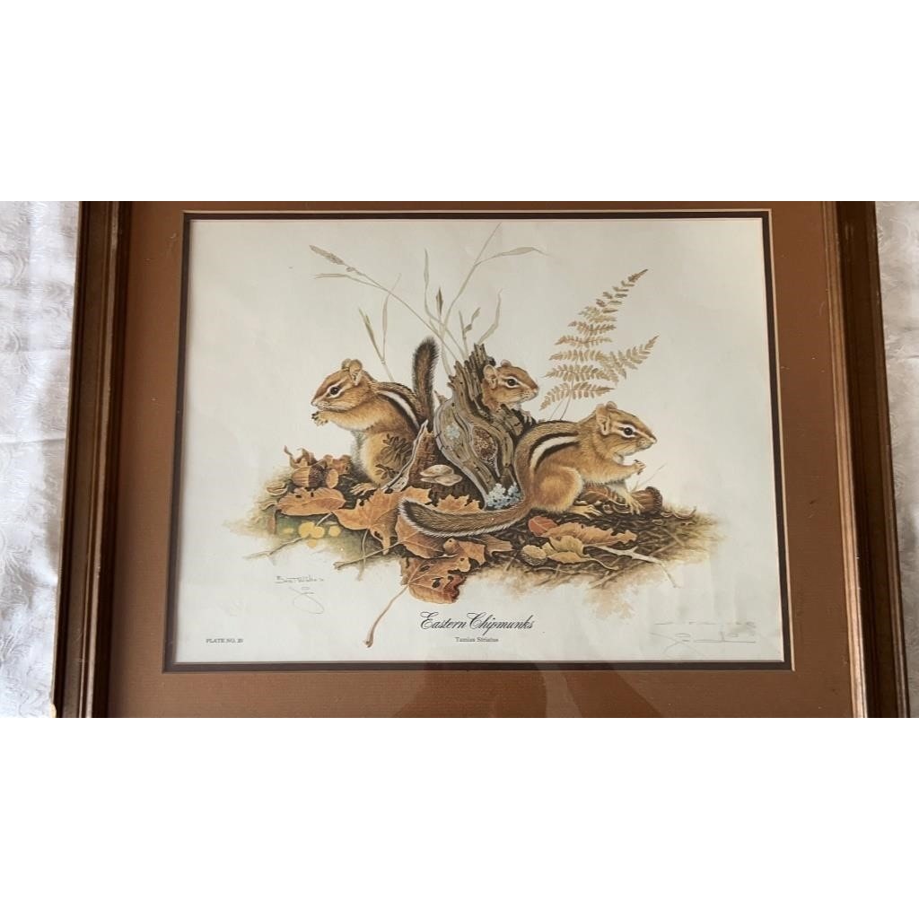 Jim Oliver Signed Print Eastern Chipmunks Framed Wildlife Art