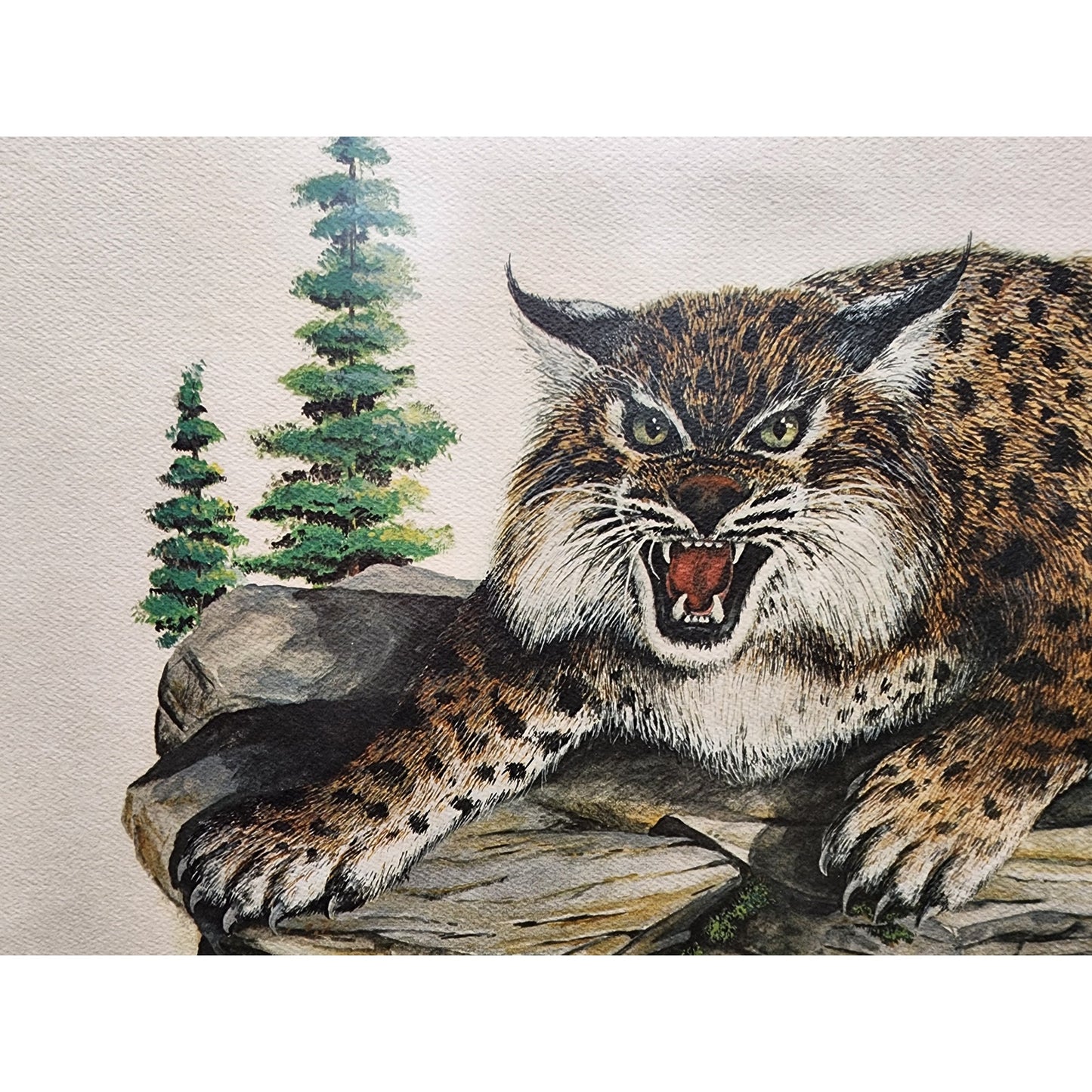 Mike Reynolds Signed KY Wildcat Print Framed Sage Matte Non-Glare Glass