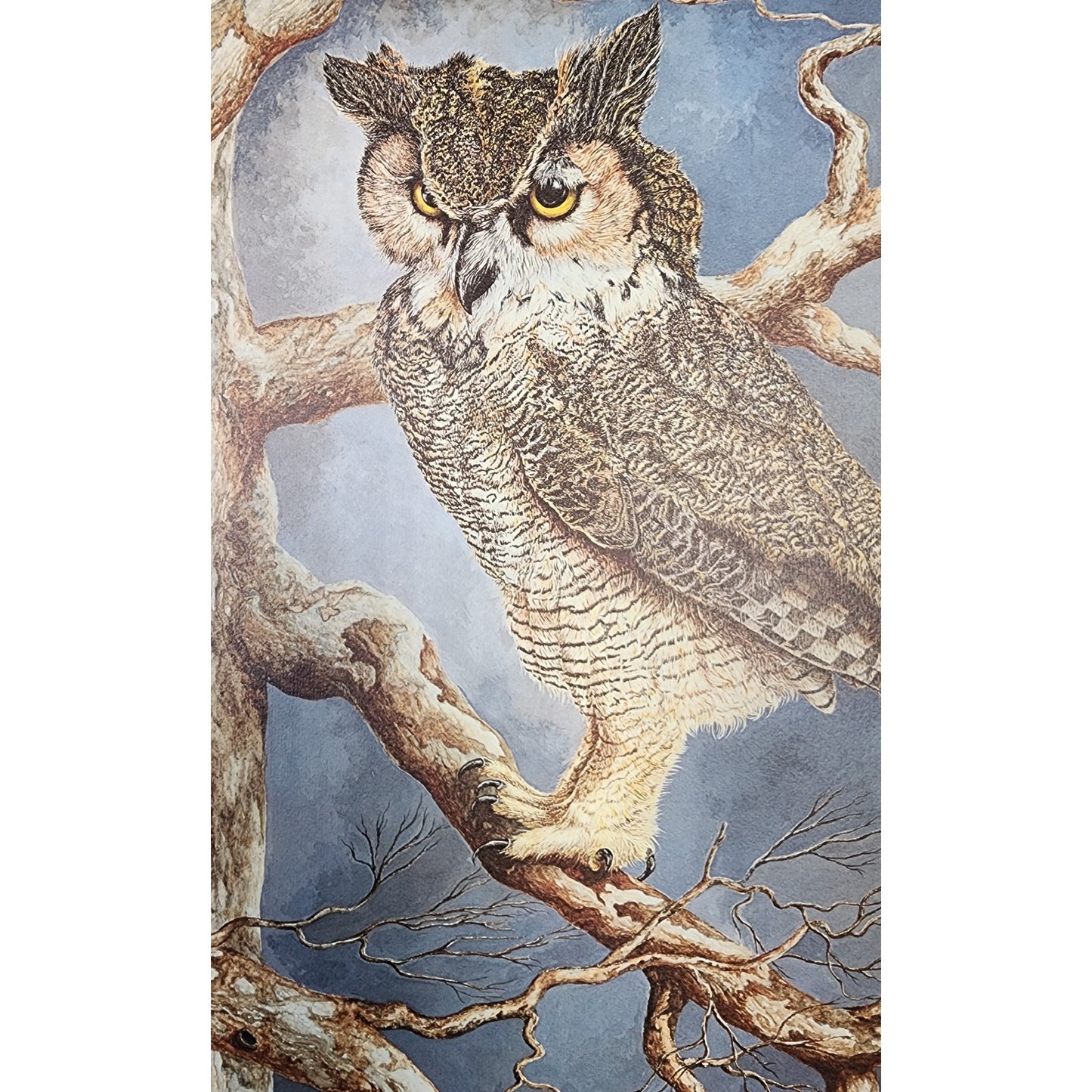 Harry Duncan ASA “The Night Watch” Owl Serigraph – Signed & Numbered 1558/2500 (1982)
