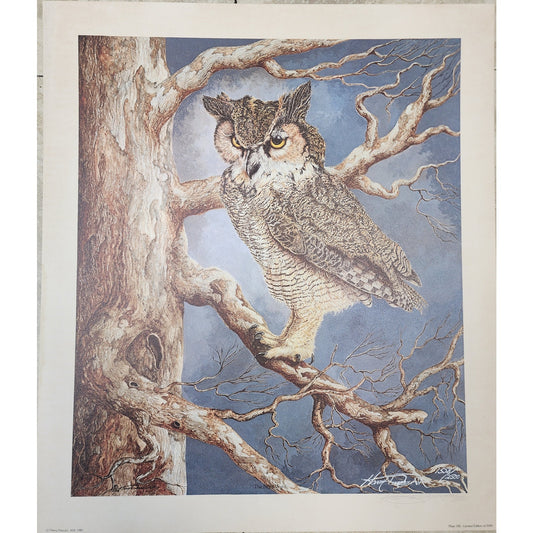 Harry Duncan ASA “The Night Watch” Owl Serigraph – Signed & Numbered 1558/2500 (1982)