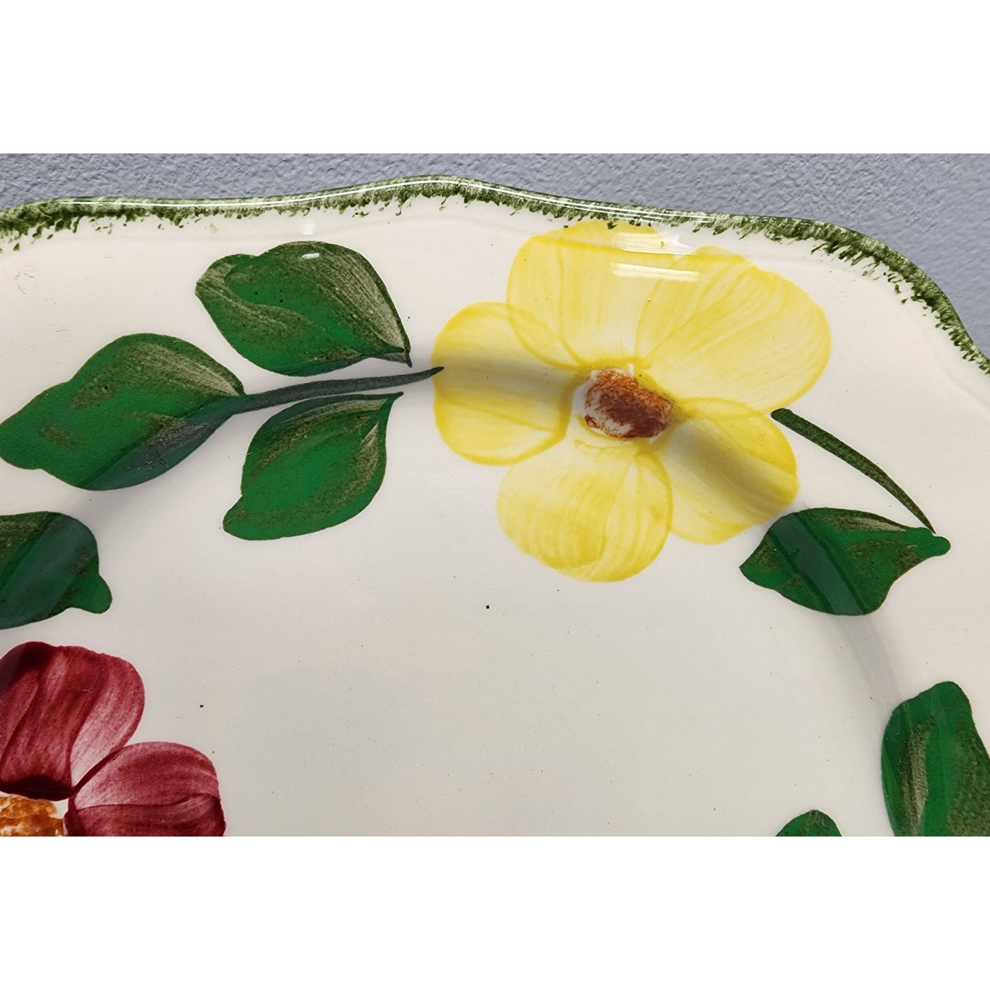 Blue Ridge Southern Potteries Hand Painted Floral Plates Set of 8 Vintage