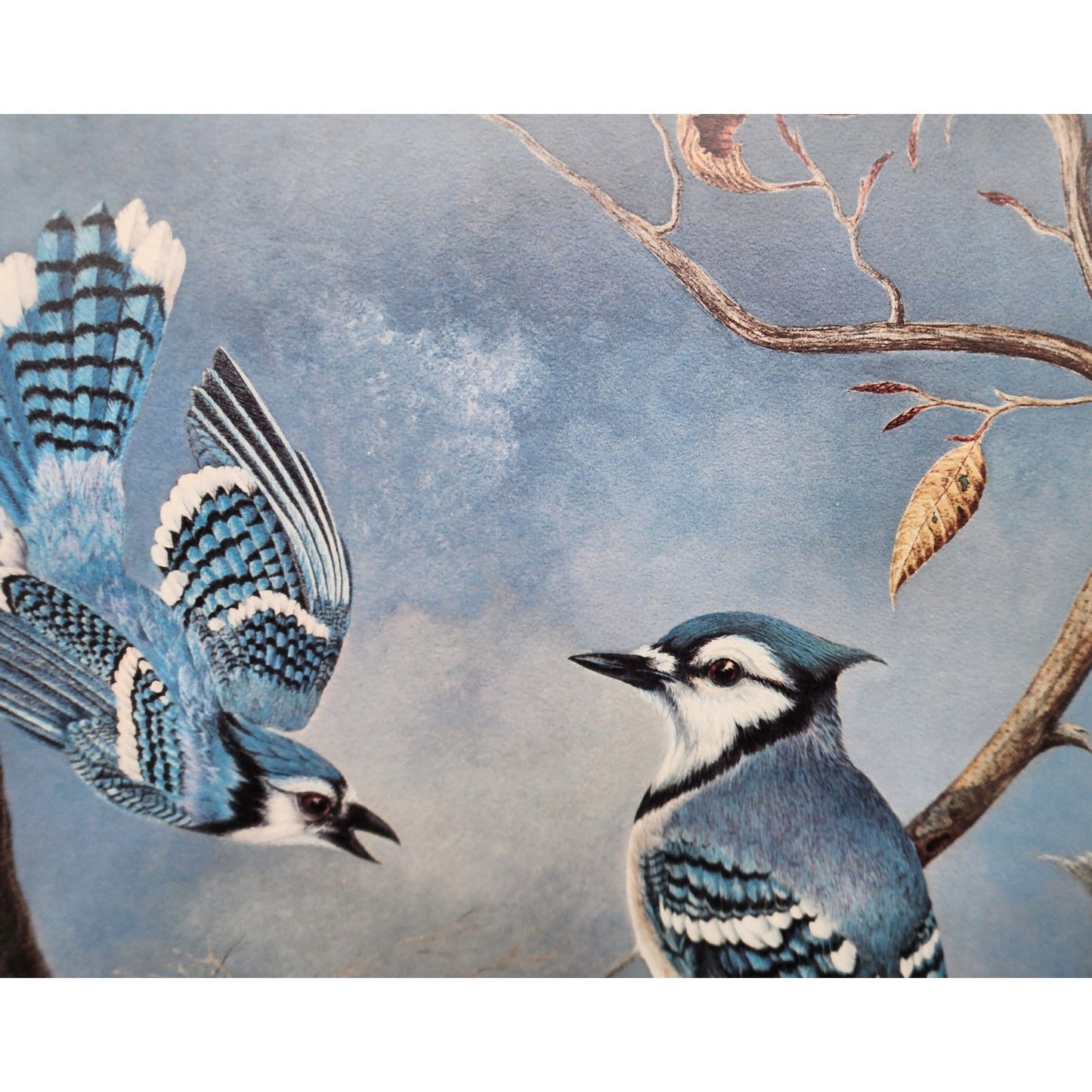 Vintage Winter Jays Harry Duncan Signed #1232/1500 Framed Triple Mat Lithograph