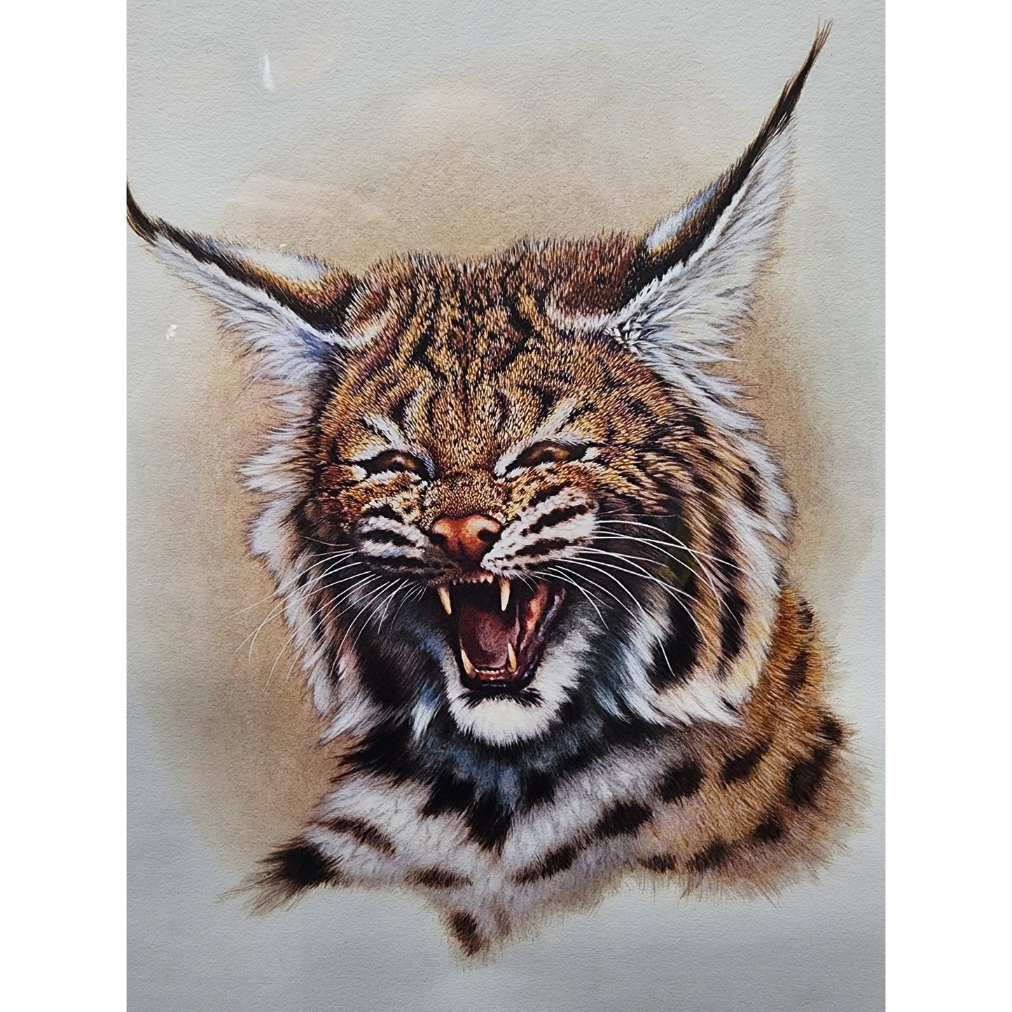 Jim Oliver Kentucky Wildcat Lithograph Signed, Embossed Framed Art