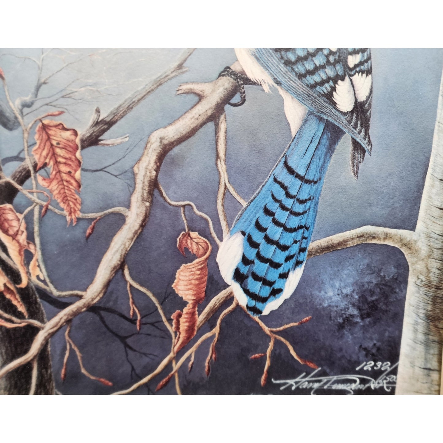 Vintage Winter Jays Harry Duncan Signed #1232/1500 Framed Triple Mat Lithograph