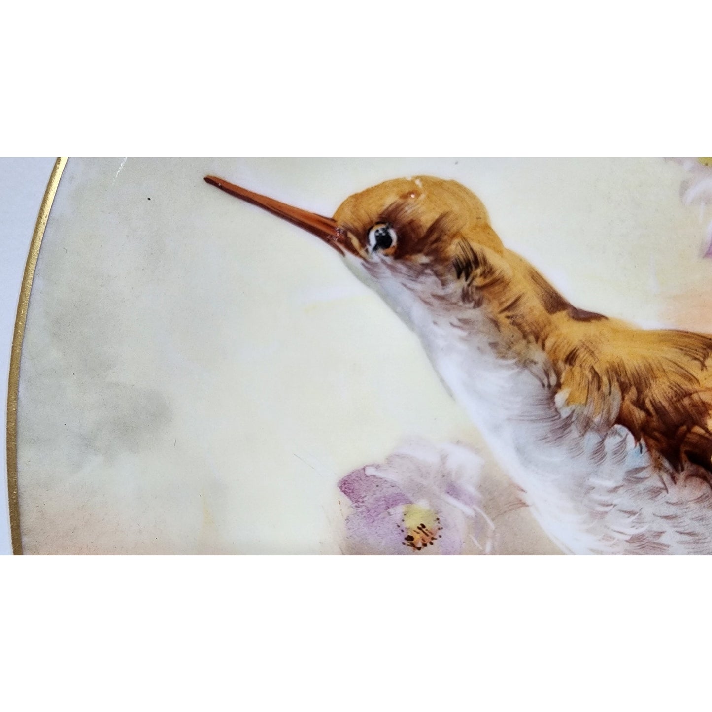 Henriot Signed Limoges France Bird Plate Hand Painted Gold Rim Violets 9.75" VTG