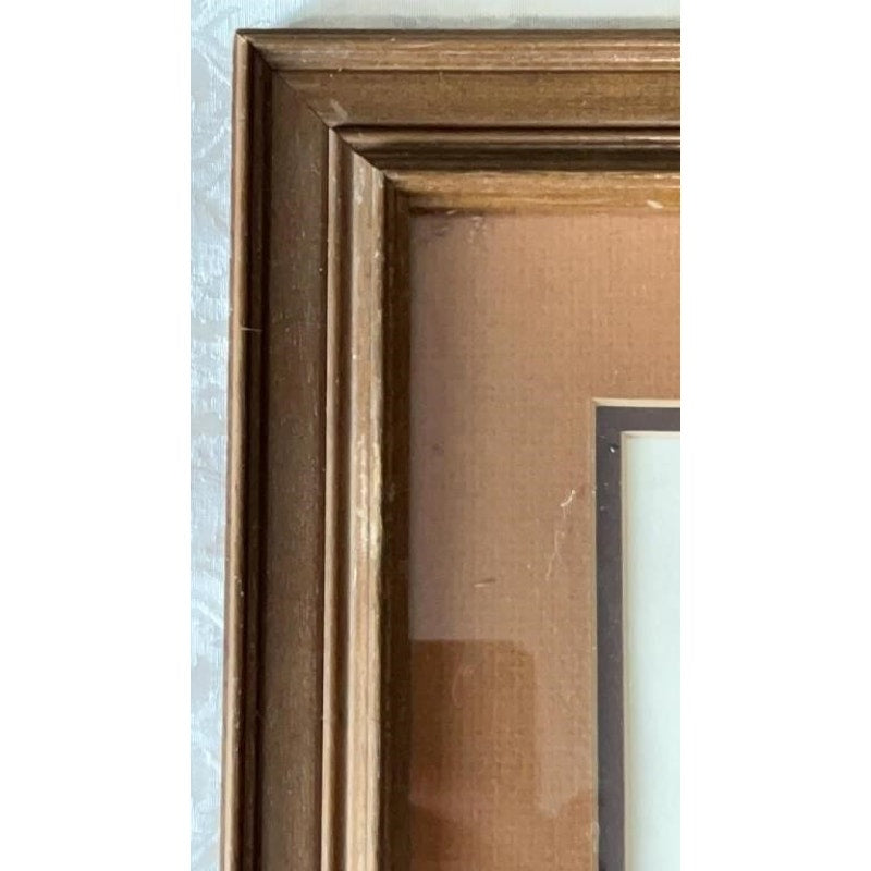 Jim Oliver Signed Print Eastern Chipmunks Framed Wildlife Art